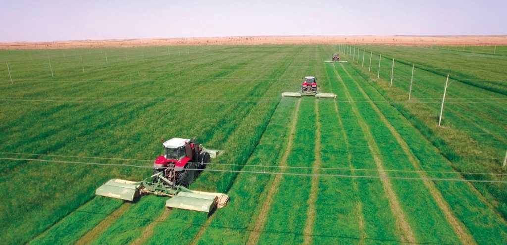Agriculture in Sudan Agriculture, field with tractors